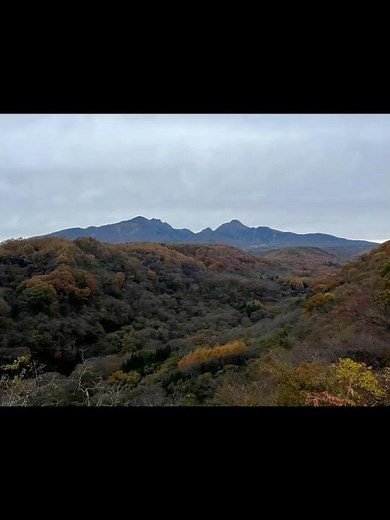 黄昏の八ヶ岳を背景に紅葉を見る