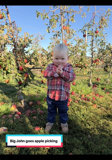 Apple Picking at Harbes Farm - Big John Goes Apple Picking