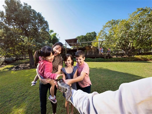 Animal Encounters At Ipswich Nature Centre