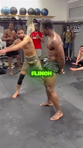 #zaralarsson