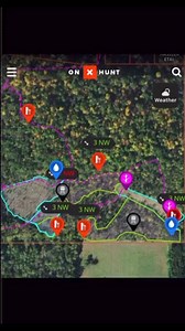 7.1K views · 26 reactions | Building and optimizing a property to...