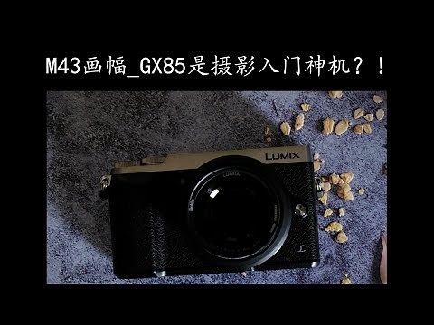 M43画幅_GX85是摄影入门神机？！还是消费陷阱智商税 ？（第一期：解析力）