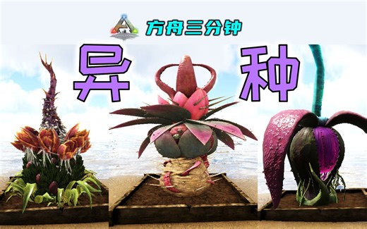 方舟异种？方舟X异种植物、Y异种植物、Z异种植物功能介绍【方舟三分钟】