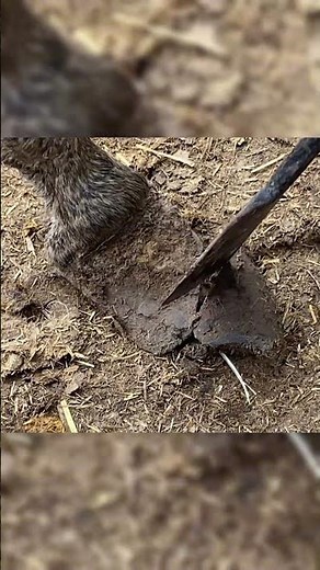 Mastering Rural Agriculture: The Ultimate Support Plan Unveiled