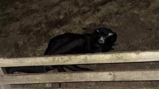 Mysterious figure in big cat 'gimp' costume caught on camera terrorising small UK town locals