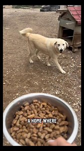 3.1K views · 60 reactions | More than 6 years of waiting. More than 6...