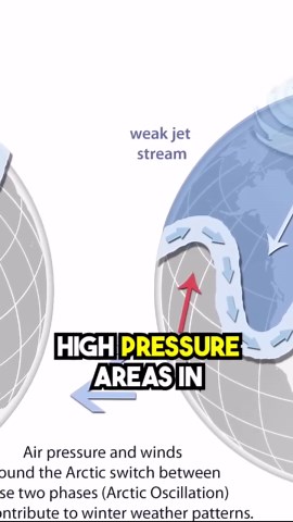 Distinguishing Vortices; A Closer Look!
