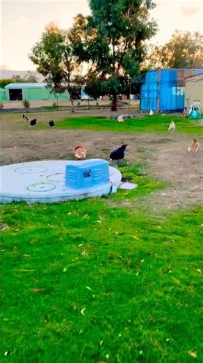 Tiny moments from our sanctuary
