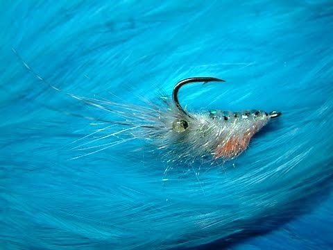 Tying the Lite-Brite Shrimp (Saltwater Fly) by Davie McPhail.