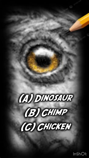 Dinosaur, chimpanzee, or chicken?
