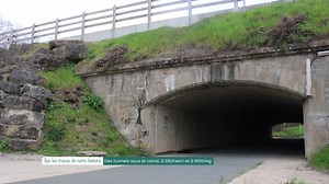 Hop'la, sur les traces de l'histoire : Des tunnels sous le canal, à Siltzheim et à Wittring. Il y a plusieurs façons de traverser le canal de la Sarre. Soit au niveau d'une écluse, soit sur un pont, soit – et c'est plus rare – par un passage aménagé en dessous. C’est le cas à Siltzheim et à Wittring. | Mosaïk Cristal