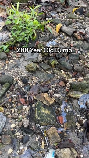 #dump #trash #spanish #treasure #colonial #history #treasurehunt #treasurehunting #explore #exploring #m | The Golden Hour