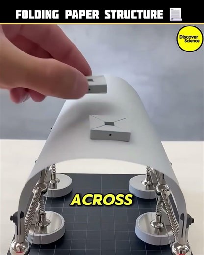 This Paper Structure Is Stronger Than You Think 😳 #shorts #science #architecture