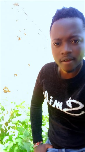 Amazon savage💯💯 (@2828amazon)’s videos with original sound - M͏C͏ S͏H͏A͏T͏A͏ BABA GOODVIBES