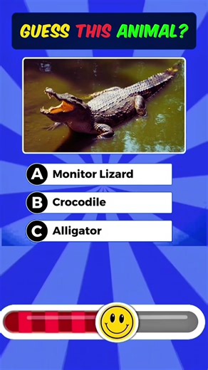 Effective English Learning Tips for Language Success