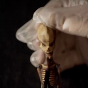 7.7K views · 57 reactions | It was discovered in the desert 20 years ago. | The Mirror | Facebook