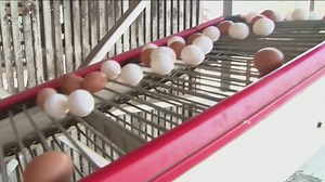 U.S. inflation heats up to 3% in January, largest jump in nearly a year and a half