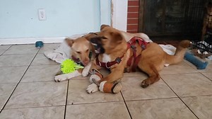 185K views · 4.7K reactions | I have news. Is it good news? Bad...