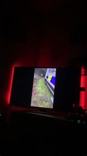 Helping Hiro but it’s a police van stuck in the mud