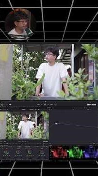 Color Space Transform di Davinci Resolve