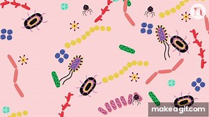 The microbes that live with us from cradle to grave on Make a GIF
