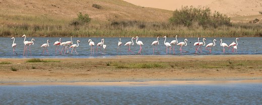 Parc National Souss Massa - Explore Agadir Souss Massa