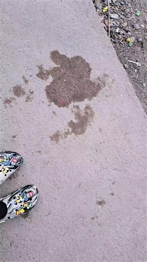 Videos de Te amo (@jason.aguilar489) con “sonido original - TULITO”