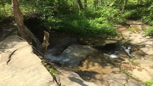 UPDATE: Elliott County homicide victim's name released; victim's girlfriend missing