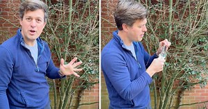 Gardening expert Tom Strowlger shares how to prune acers