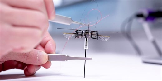 Video Friday: Tiny Robot Bug Hops and Jumps