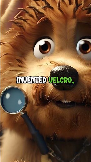 The Invention of Velcro: A Curious Journey