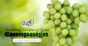 Sun World International's Jen Sanchez Discusses Creative AUTUMNCRISP® Global Marketing Campaign