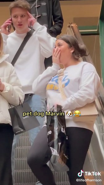 Hilarious Phone Call Prank on Escalator