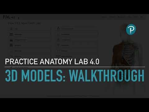 Practice Anatomy Lab (PAL 4.0) - 3D models walkthrough