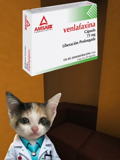 Venlafaxina: Importancia y Usos en Medicamentos