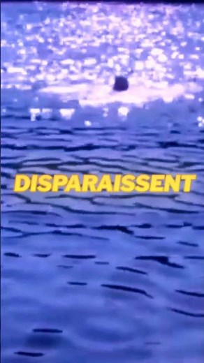 En 1980, un film d’horreur culte voit le jour. 🔪 Vendredi 13 marque l’histoire du slasher