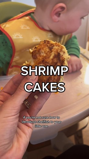 Introducing Shellfish to Your Baby: Delicious Shrimp Cake Recipe