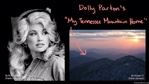 Humans and ecosystems: how do vultures provide ecosystem services?