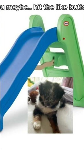 I am going down the slide now