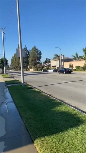 Police Sirens Abandon Stop Officer Needs Help