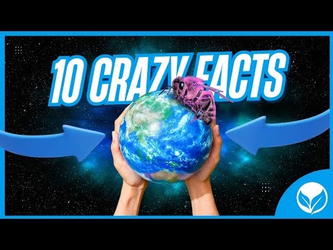10 Mind-Blowing Scientific Facts You Didn't Know!