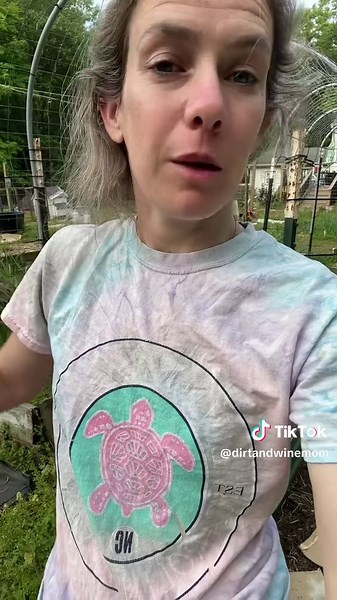 Planting Peppers in Your Garden: Step-by-Step Guide