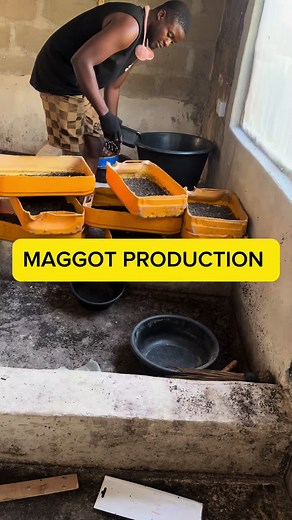 bempetorganicfarm on TikTok