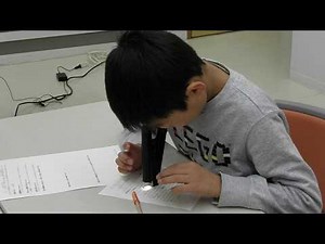 30倍の世界（ライトスコープによる観察）