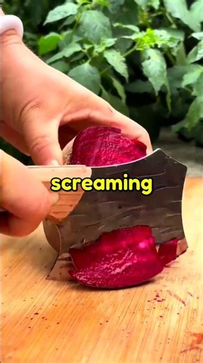 How One Random Word Changed Our Vocabulary