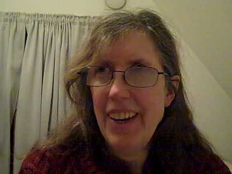 Why and how the Hummingbird Flew observation