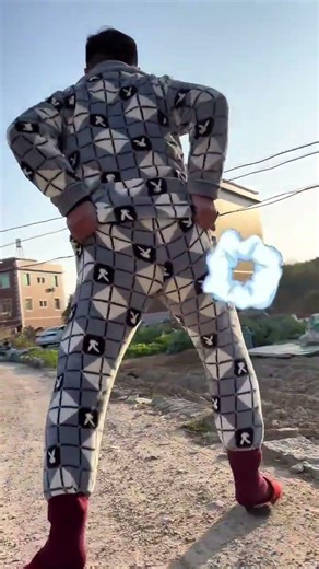 夫妻重逢，村中漫步的约定