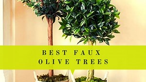 Best Faux Olive Trees Guide For Home Décor: My Top 5 Pick (Updated 2026)