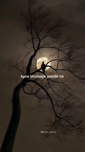 Barsaat - Banjaare || New Release || lyrics || #love #song #music