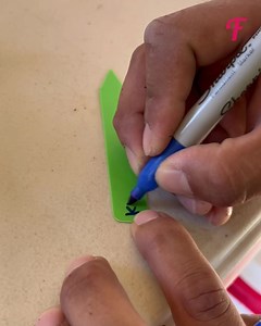 169K views · 403 reactions | The process of growing kiwi from seeds at home | Fabiosa Australia | Facebook